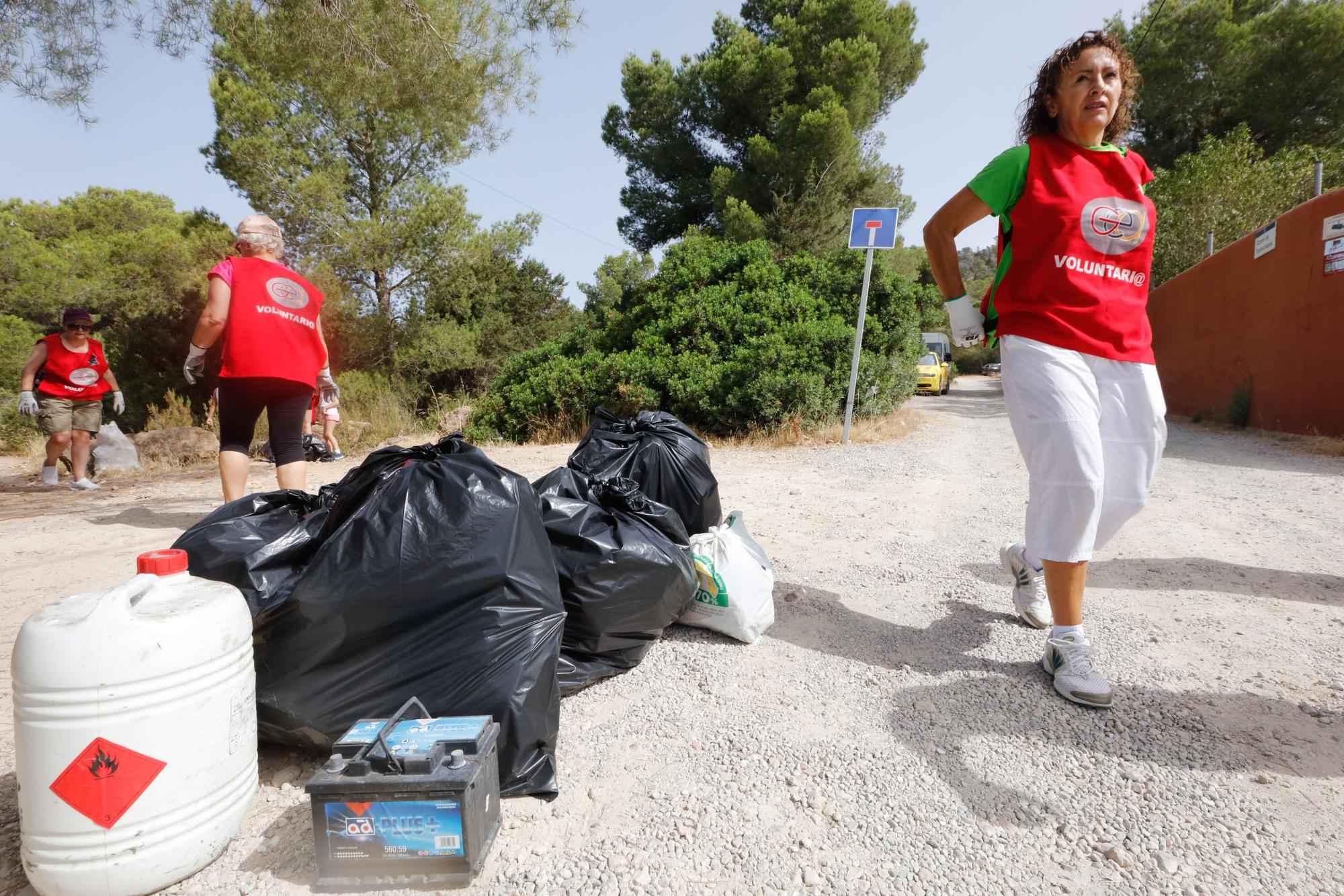 Las imágenes de la limpieza de Sa Talaia de Sant Antoni