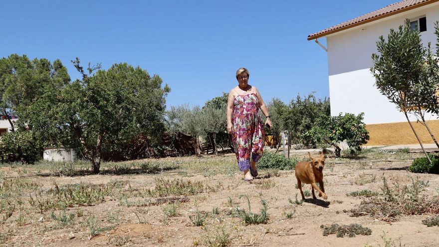 Josefa Ruz, de Nuevo Higuerón, muestra la falta de vegetación en su parcela.