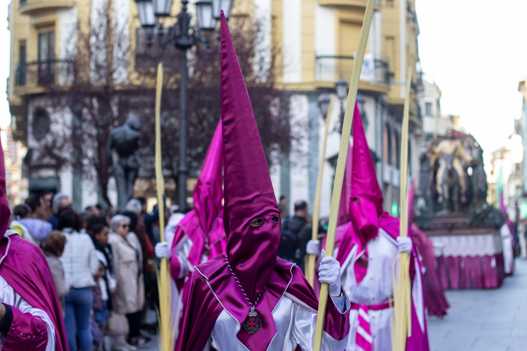 ZAMORA.DOMINGO DE RAMOS