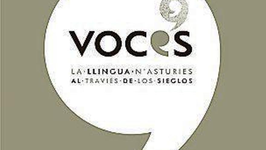 Esposición &quot;Voces&quot;