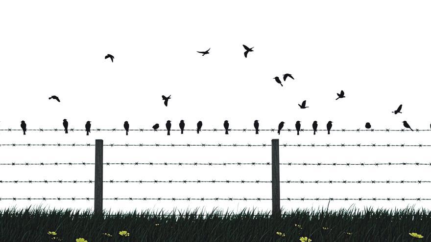 Los 33 españoles de Auschwitz