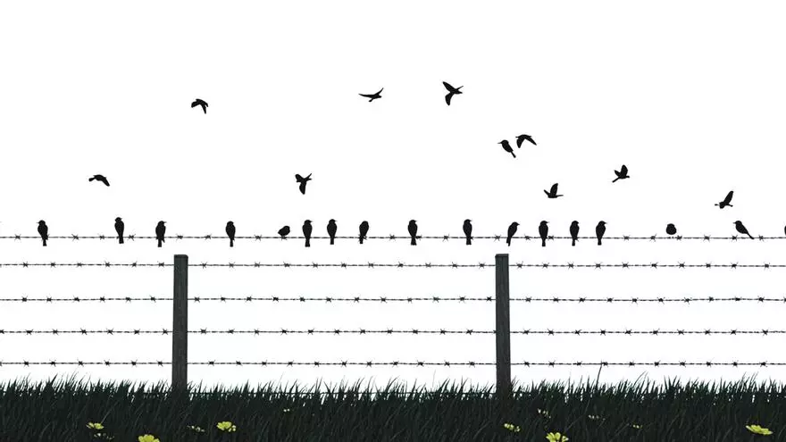 Los canarios asesinados por los nazis