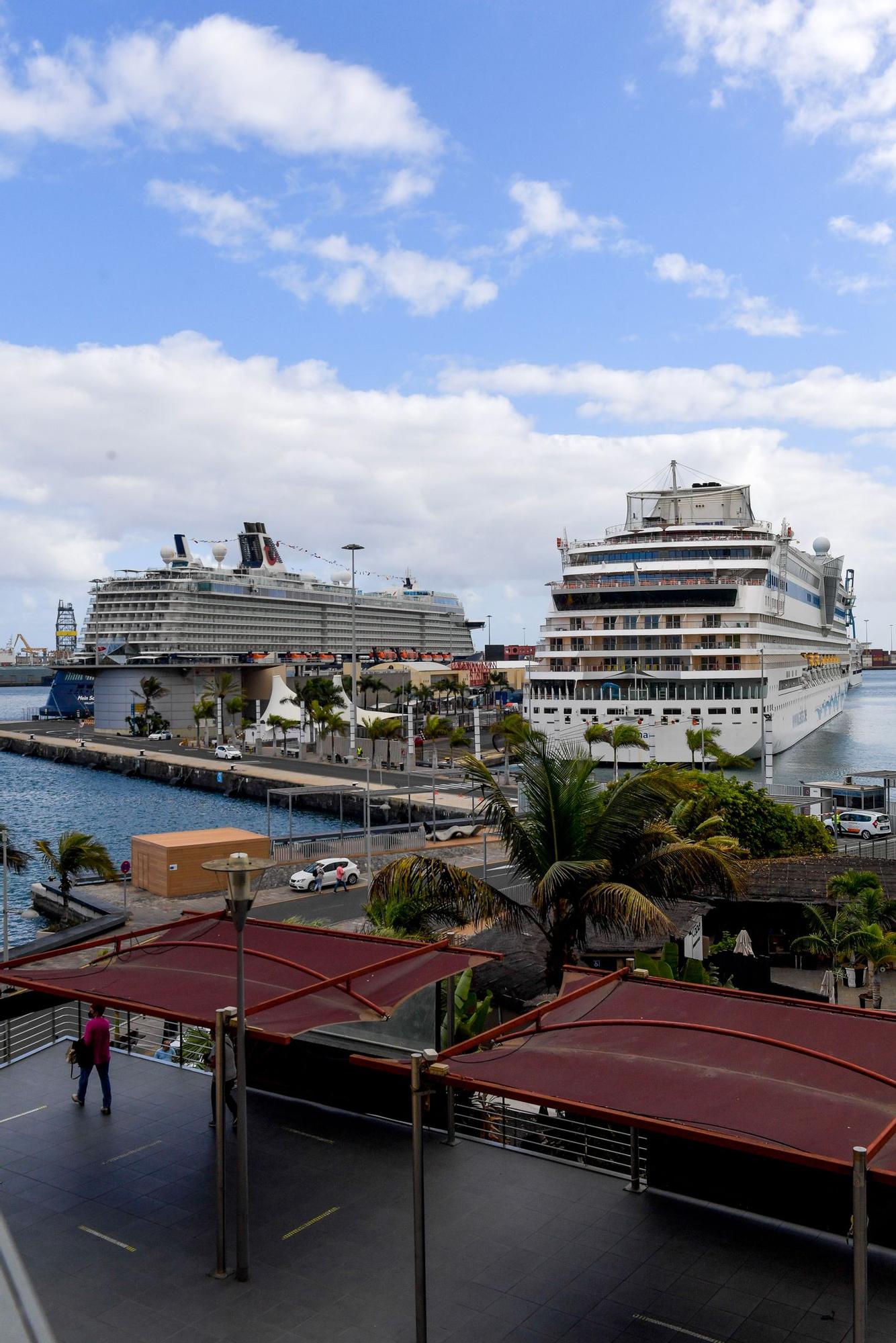 Cruceros en el Puerto de Las Palmas (07/11/2021)