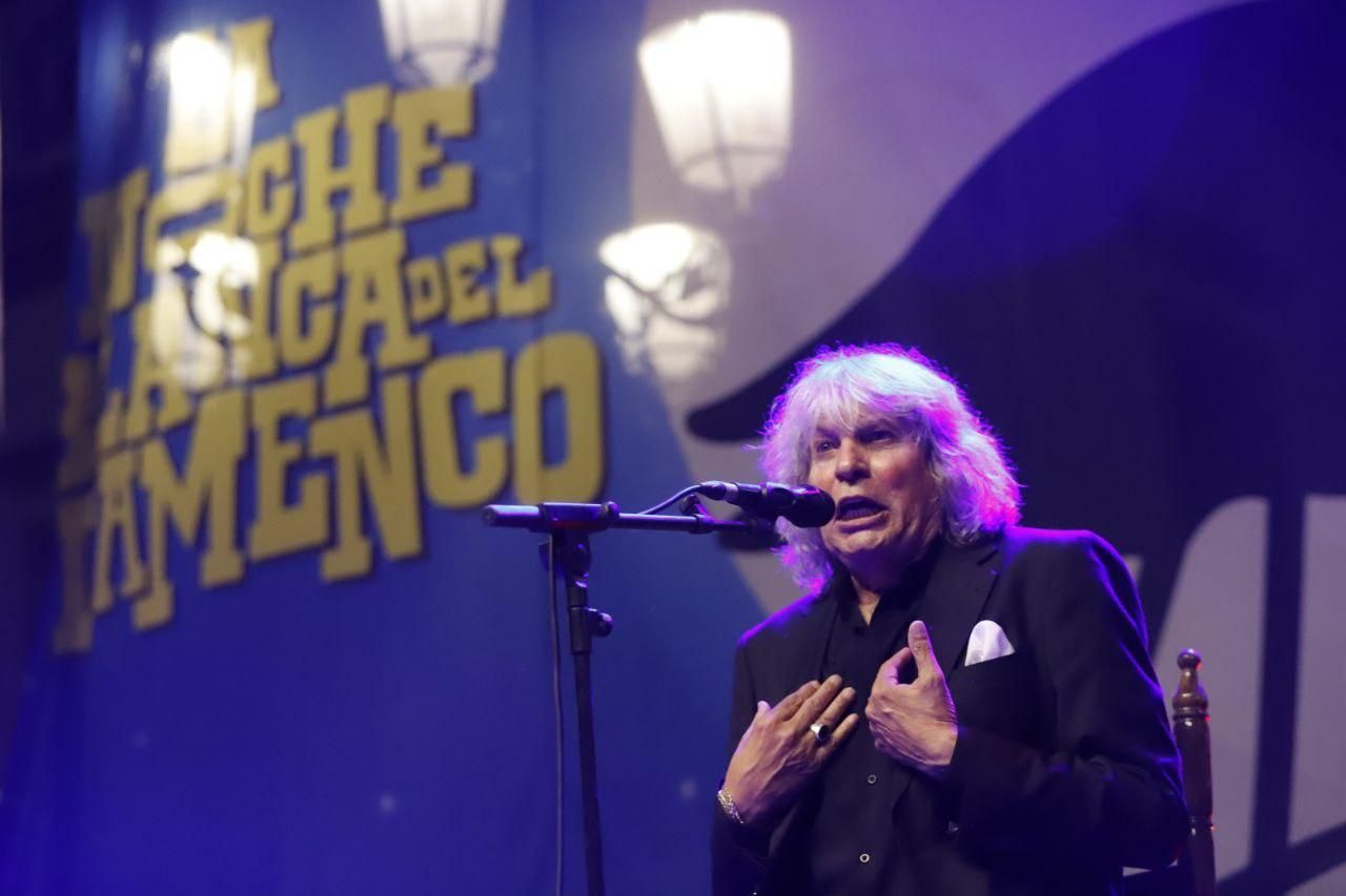 El concierto de José Mercé en la Noche Blanca del Flamenco, en imágenes