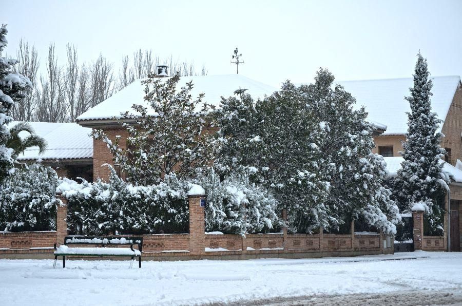 'Filomena' en Aragón