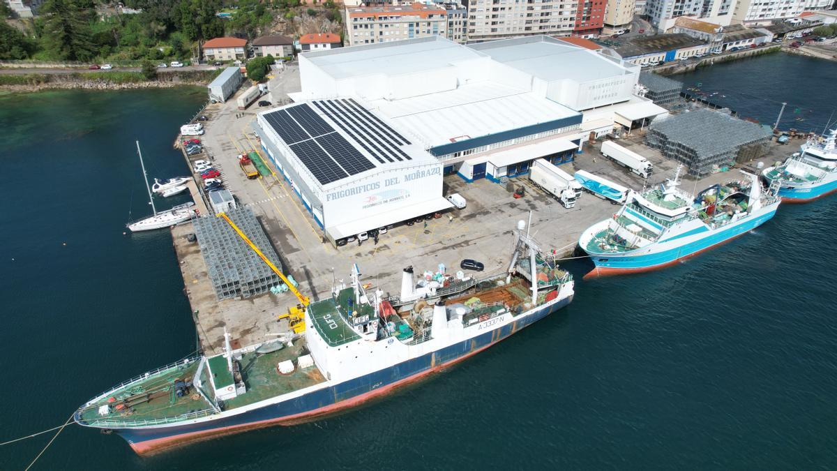 Vista aérea de Frigoríficos del Morrazo, en donde Voltfer ha acometido la instalación de paneles solares para el uso industrial.