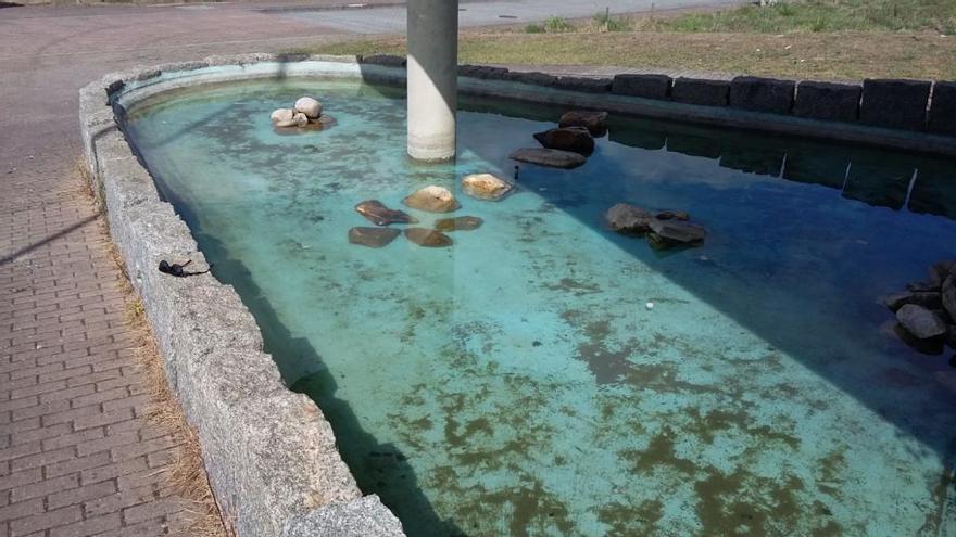 Roban 200 peces de un acuario del parque de Canide