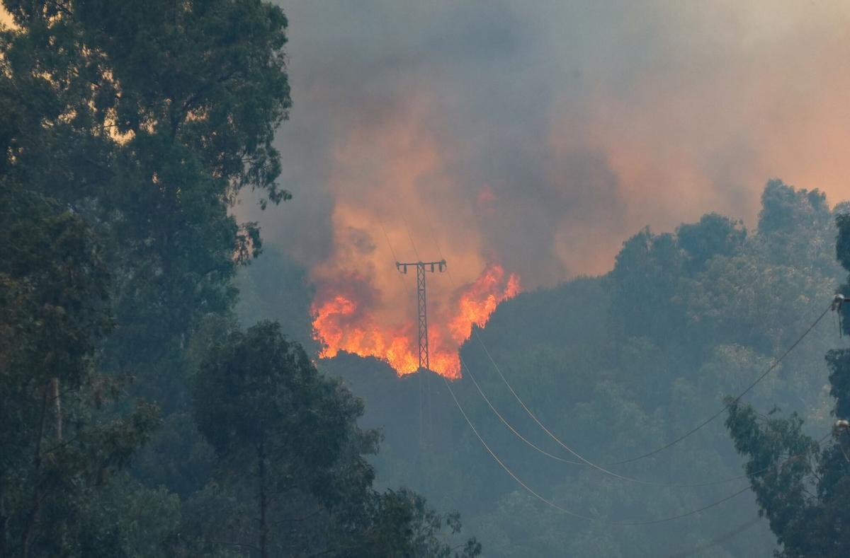 09/06/2026 Columna de humo provocada por el incendio que se originó este lunes en un paraje de Villanueva de los Castillejos. A 9 de junio de 2026 en San Bartolomé de la Torre , Huelva (Andalucía, España). Un total de 22 medios aéreos se irán incorporando paulatinamente este martes 9 de junio a las labores de extinción del incendio declarado a las 13,15 horas de este lunes en el paraje Los Turbios de Villanueva de los Castillejos (Huelva) y que ha afecta principalmente a San Bartolomé de la Torre. El consejero de Sanidad, Presidencia y Emergencias, Antonio Sanz, ha señalado que se trata de un incendio "complicado" que ya ha afectado a más de 2.000 hectáreas y mantiene desalojadas a cerca de 300 personas. SOCIEDAD María José López - Europa Press