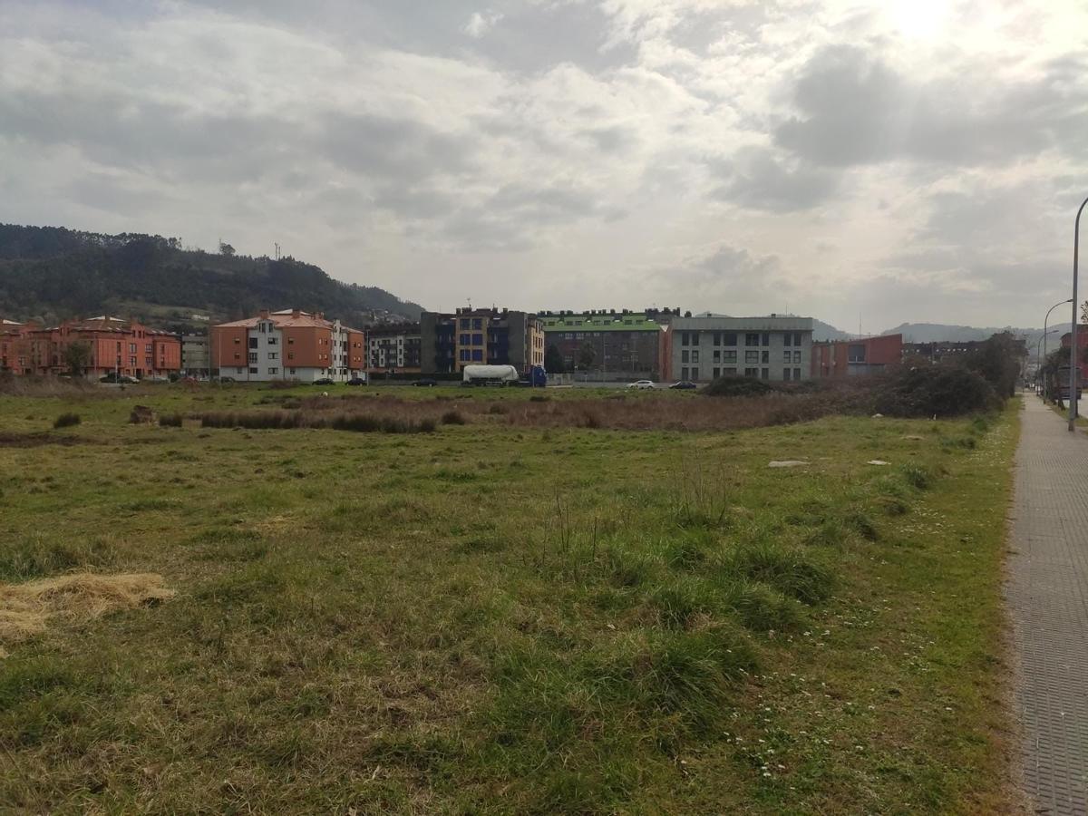 Entorno de El Salín-Cierrón, donde se propone crear el área de autocaravanas