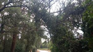 Actuació dels bombers a Girona