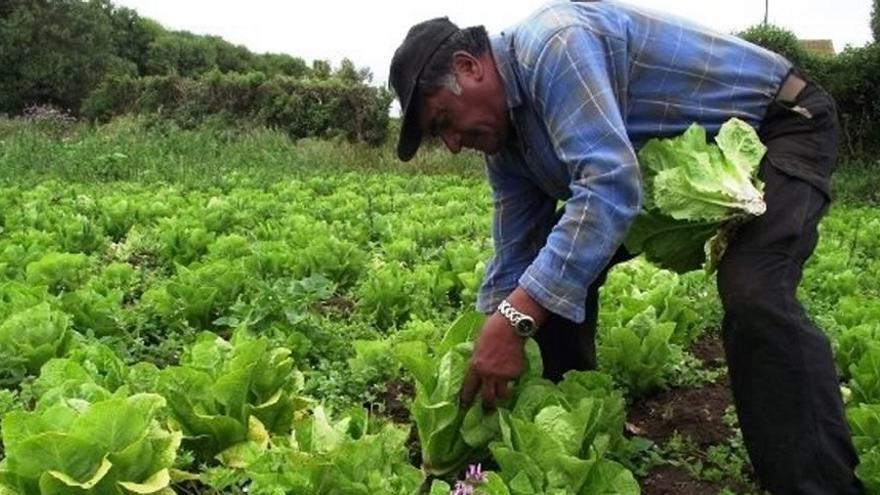 La renovación generacional en el campo es una asignatura pendiente para la PAC, según Coag.