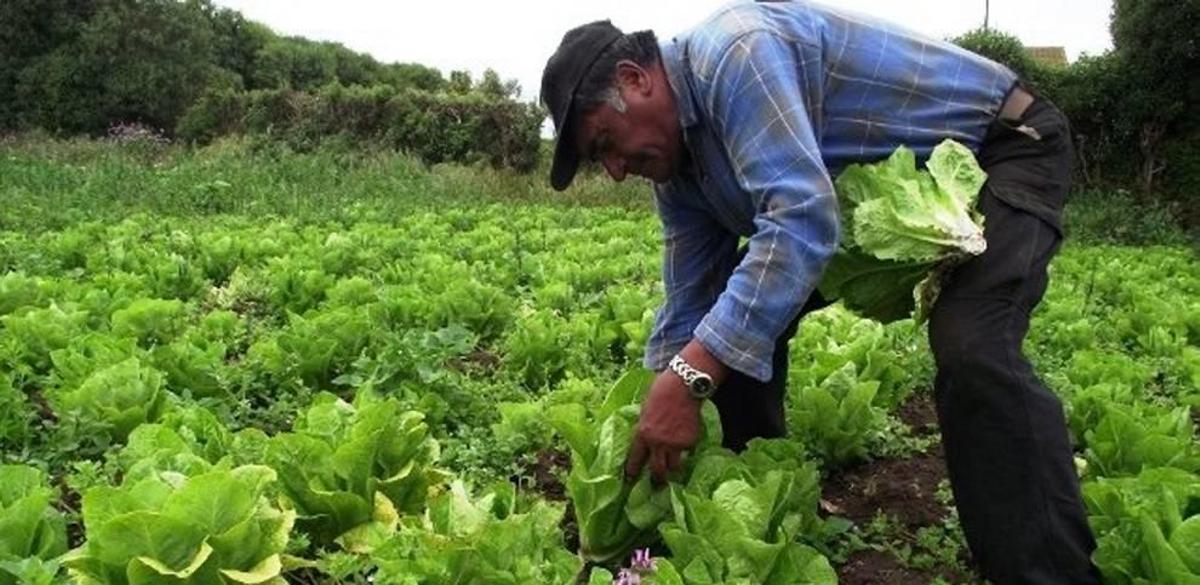 La renovación generacional en el campo es una asignatura pendiente para la PAC, según Coag.