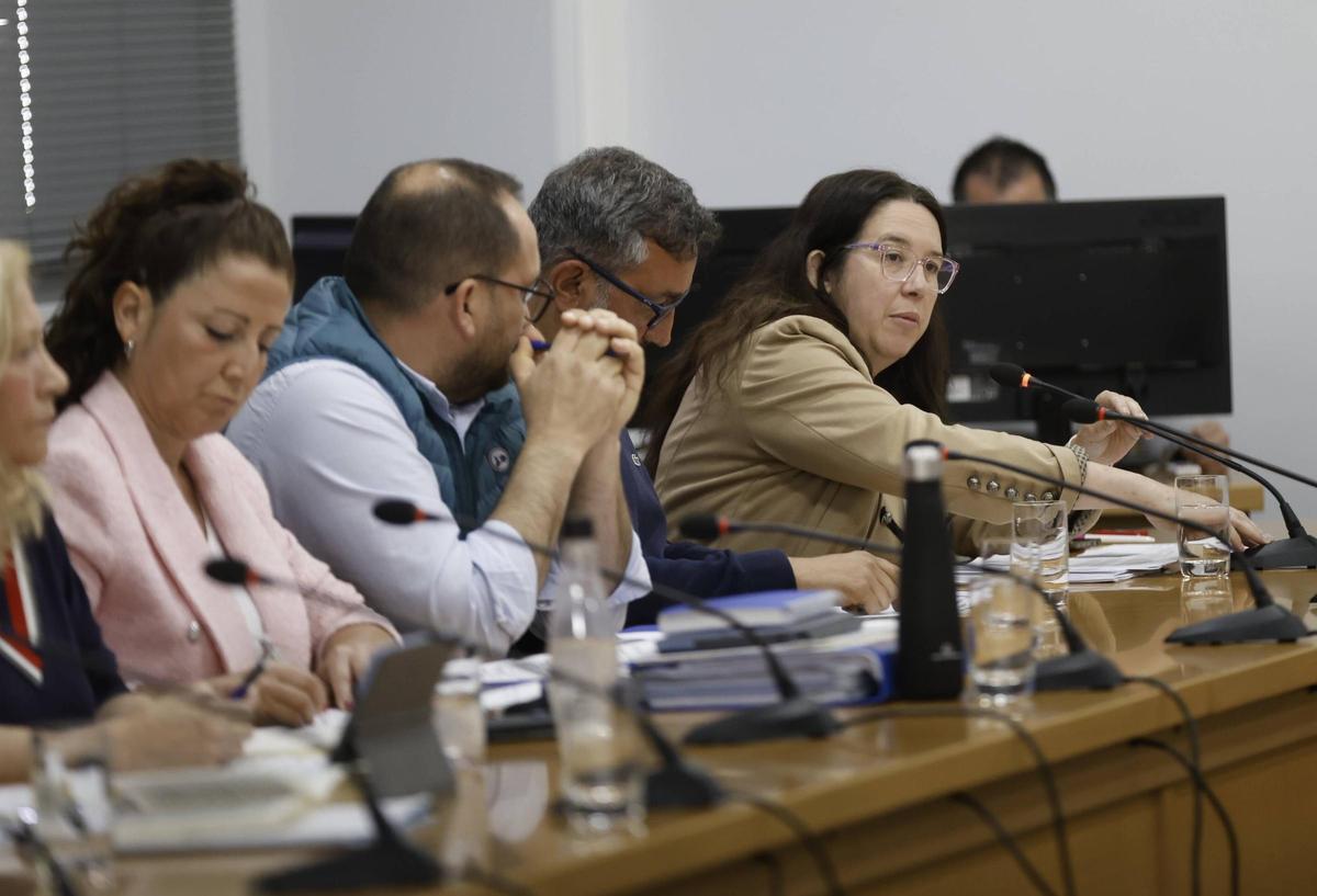 Nuria González-Nuevo, a la derecha, durante un pleno