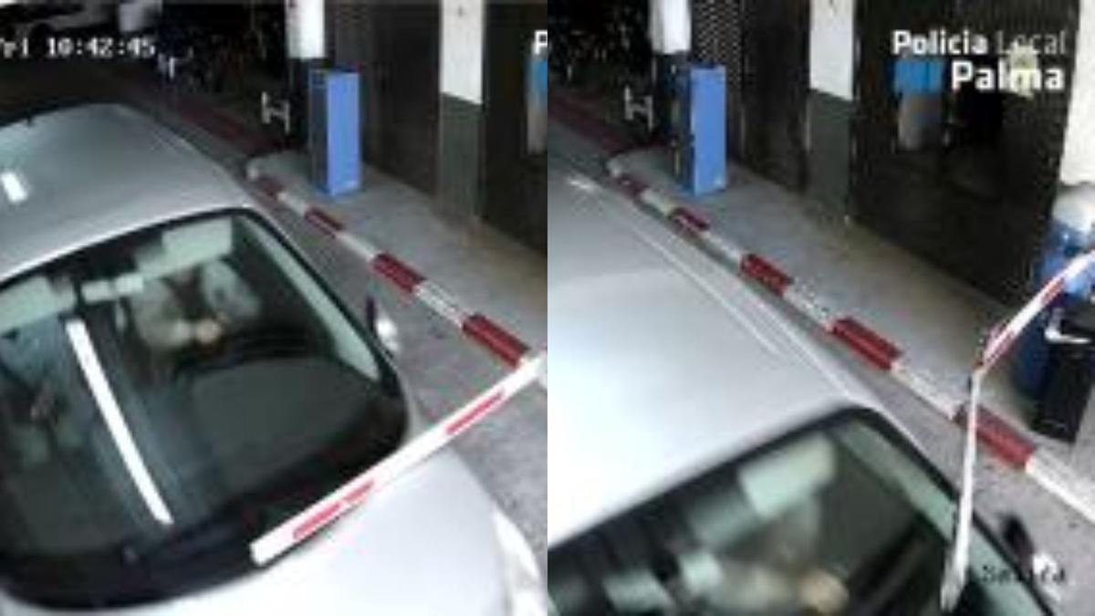 Grabación de una cámara de seguridad en la que se ve a los investigados romper la barrera de seguridad del depósito municipal de Palma.