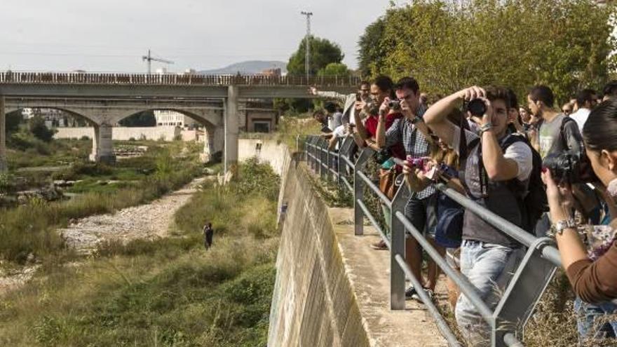 Gandia presenta un plan para mejorar el uso público de las riberas del río Serpis