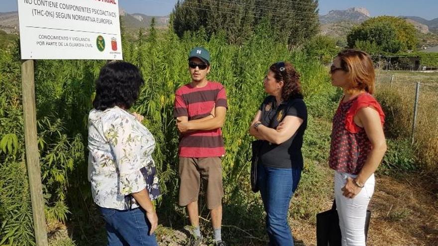 El agricultor Daisuke Mori enseñando la plantación que tiene en Caravaca.