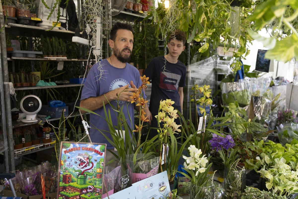 José Vicente Cogollos gestiona el espacio de ventas de Viveros Melchor en la Fira de Xàtiva.