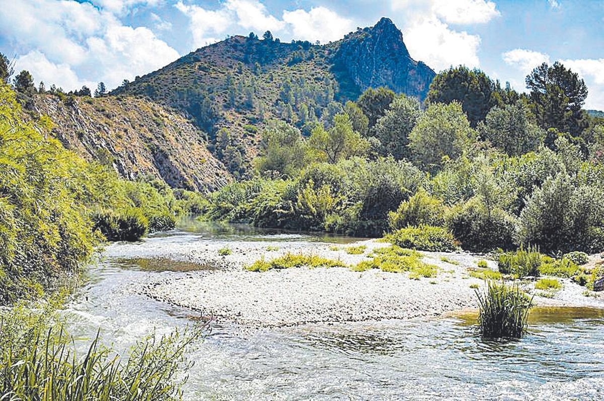 El río Albaida a su paso por l’Aventador. perales iborra