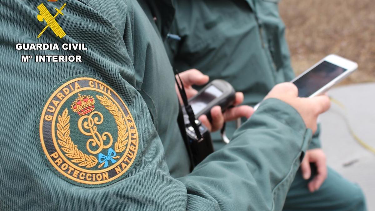 Agentes de la Guardia Civil.