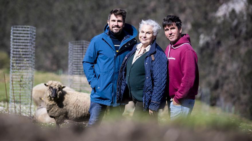 Un nuevo modelo de bosque que da frutos secos y está cuidado por ovejas inglesas