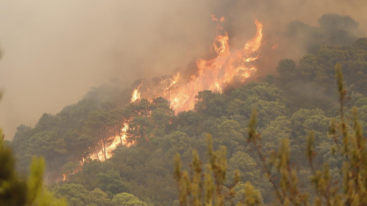 Un incendio en Sierra Bermeja provoca el desalojo de 500 personas