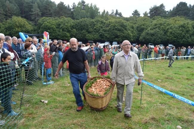 Concurs de bolets de Berga