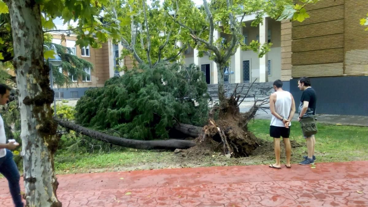 Consecuencias de la tormenta en Zaragoza