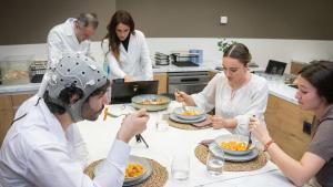 Un momento de la investigación en el laboratorio de la Universidad Rey Juan Carlos