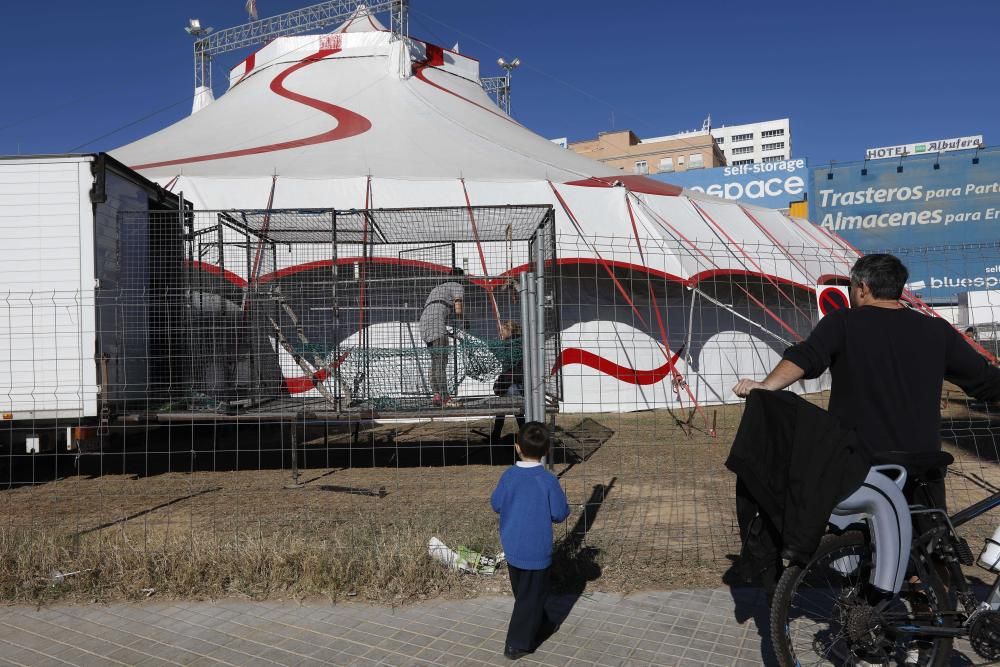 Un circo con animales en Alfafar, el único en la Comunitat