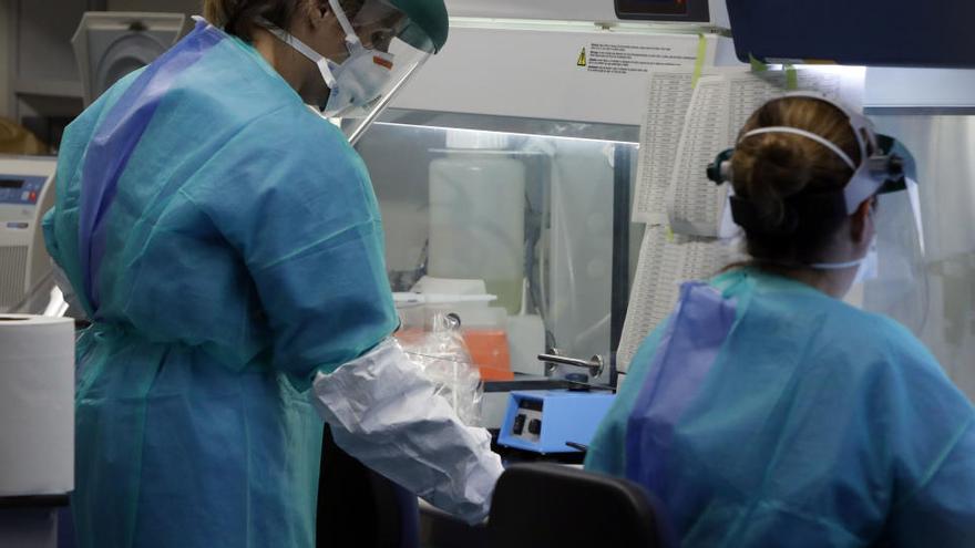 El Gobierno pide a la Generalitat doblar el número de pruebas PCR