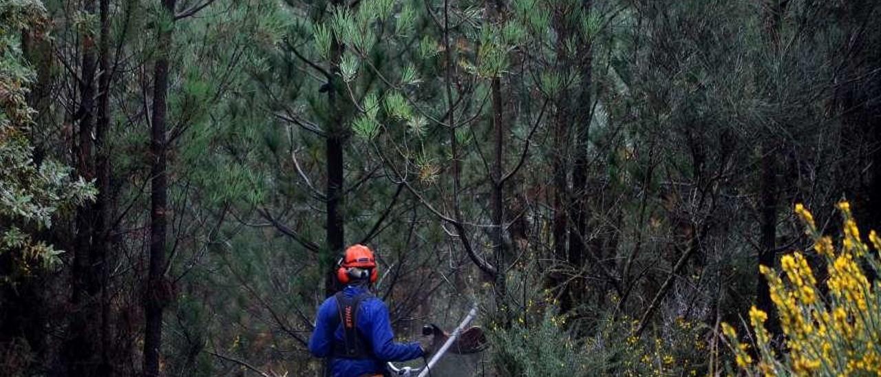 Un trabajador desbroza el terreno en el concello de Vilagarcía. // Iñaki Abella