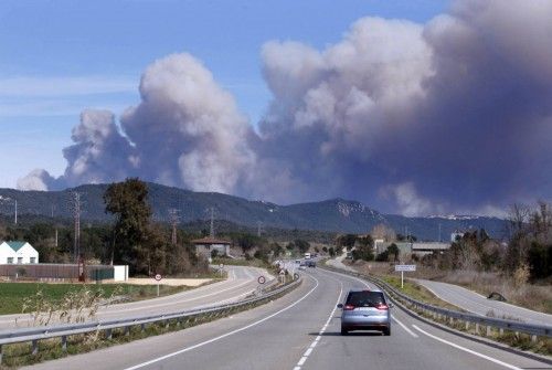 Incendi forestal a peu de les Gavarres