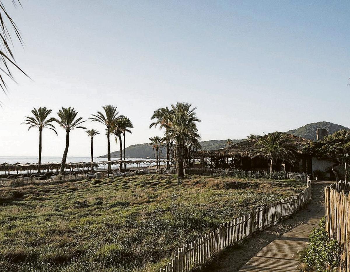 Beachouse is a destination designed for arriving in the morning and staying all day.