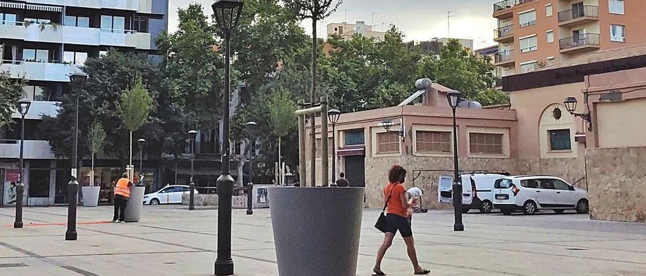 Macetas gigantes en la plaza Pere Garau.