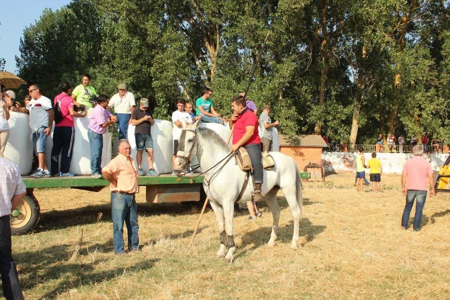 Fiestas en Zamora: Villamor de los Escuderos