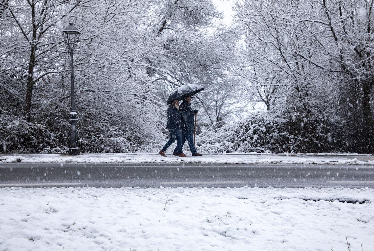 Nevada provocada por la borrasca Harry a su paso por Mataelpino el 17 de enero de 2026, en Madrid