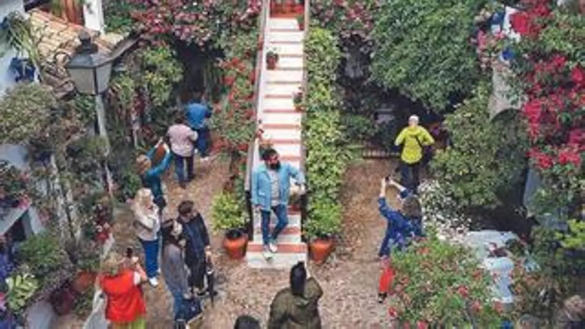 La guía definitiva de los Patios de Córdoba 2025: fechas, rutas, horarios y mapas interactivos