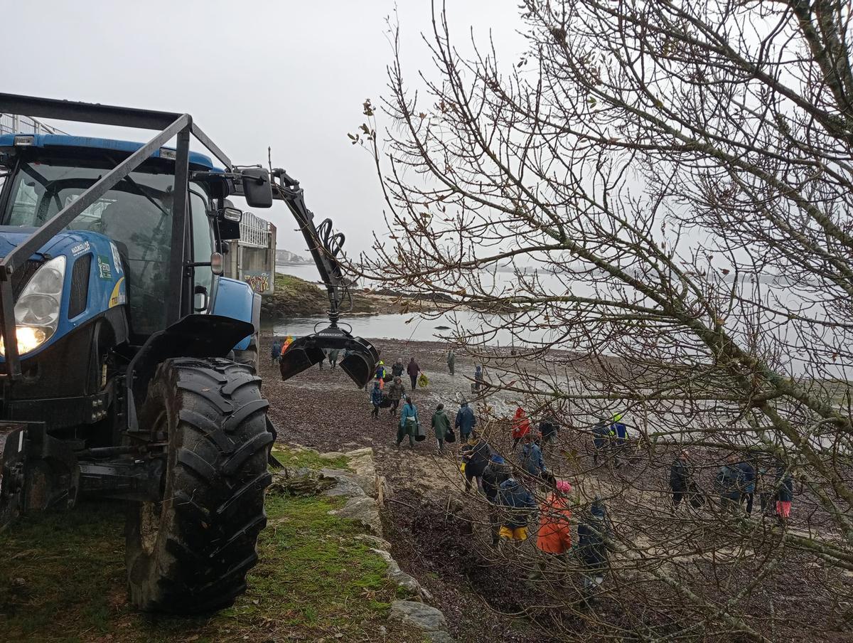 El Concello de Rianxo colabora con los mariscadores en playas como la de O Pazo.