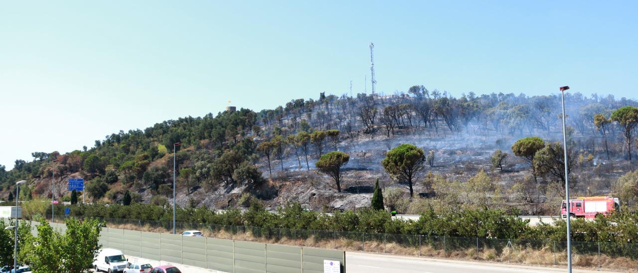 Incendi de vegetació a la Jonquera