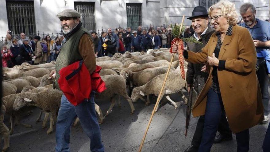 Manuela Carmena, de pastora por Madrid