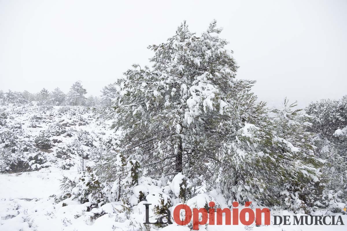 Continúa la nevada en las zonas altas de la comarca del Noroeste