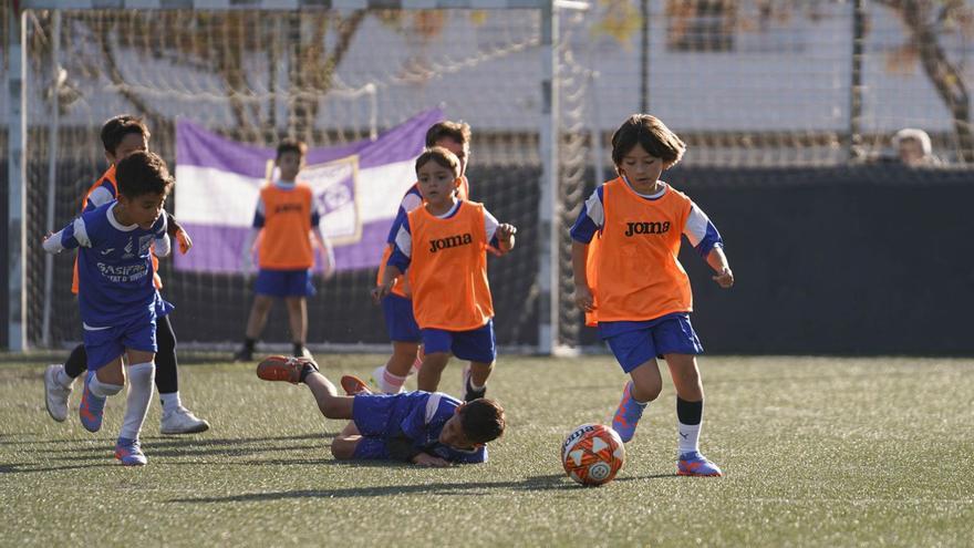 El fútbol sala mixto sigue creciendo gracias a la promoción | FOTOS: MARCELO SASTRE