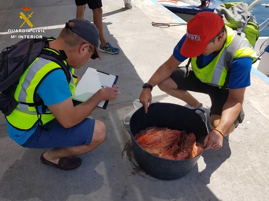 Detectan infracciones de control sanitario del pescado en Alicante y Tabarca