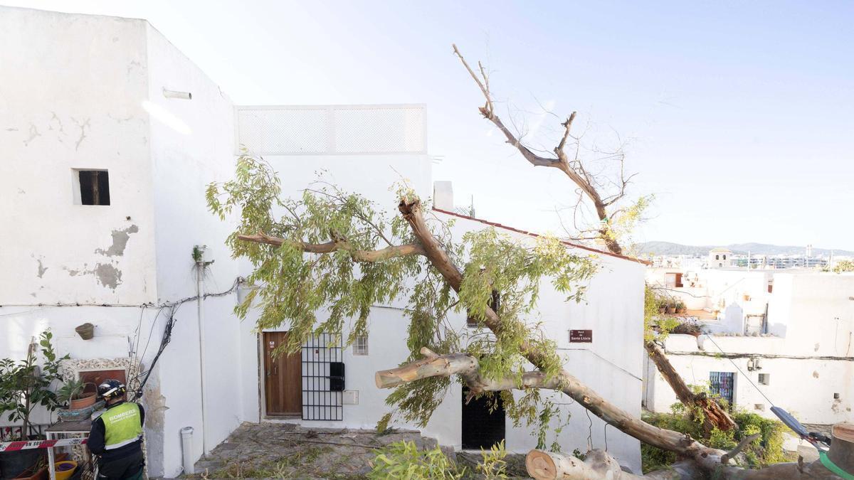 Las espectaculares imágenes del paso de la borrasca 'Nils' por Ibiza