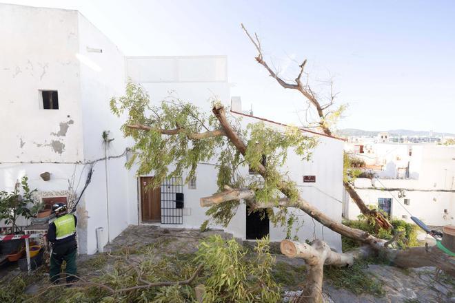 Las espectaculares imágenes del paso de la borrasca 'Nils' por Ibiza