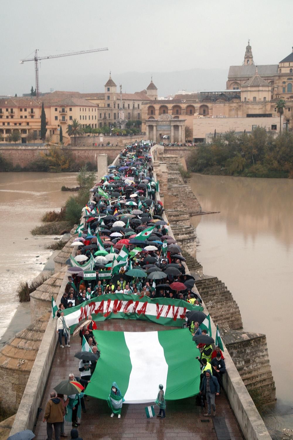 Unas 2.000 personas marchan en Córdoba para que "Andalucía despierte"