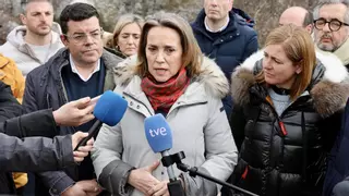 Gamarra insta al Congreso a reducir la protección del lobo