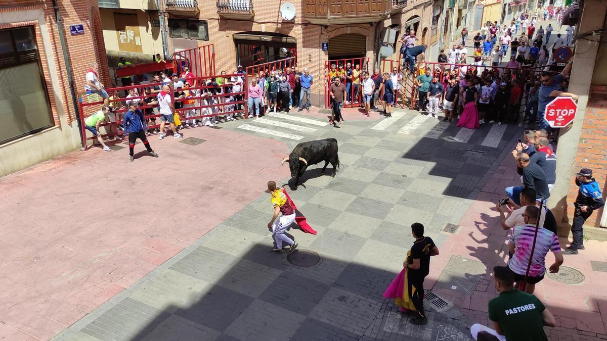 Un toro del cajón de Charamandanga, en calle Sancti Spíritus.