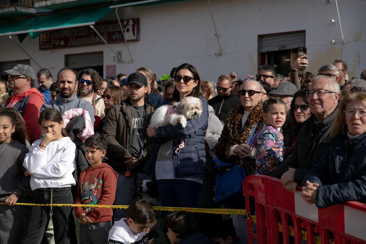 Así ha sido la celebración de San Antón en Cartagena