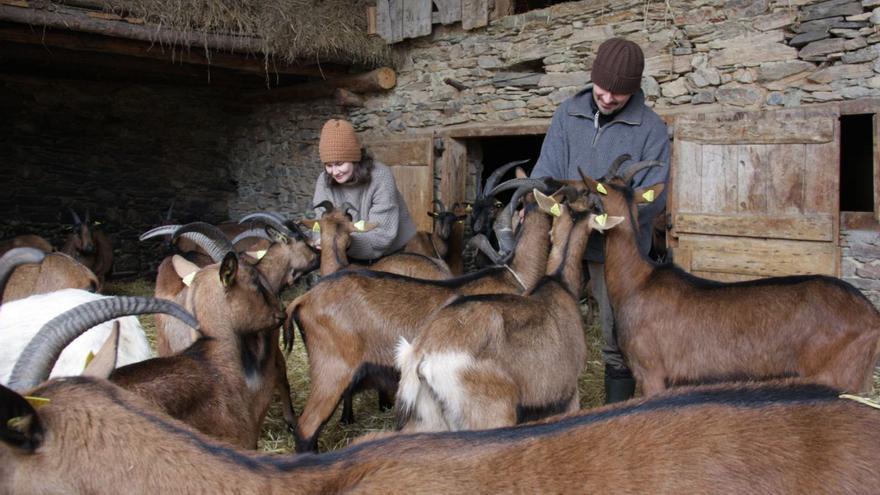 La formatgeria 30 Cabres d’Éller, amb els seus responsables i el ramat | DIARI DE GIRONA